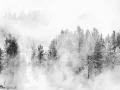 0042 paysage etats unis noir et blanc