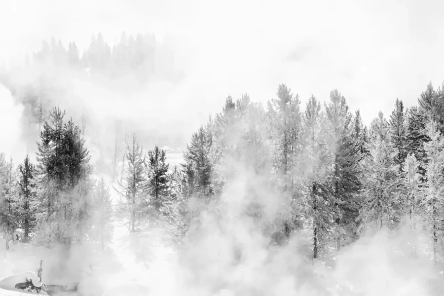 0042 paysage etats unis noir et blanc