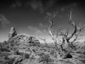 0046 paysage etats unis noir et blanc