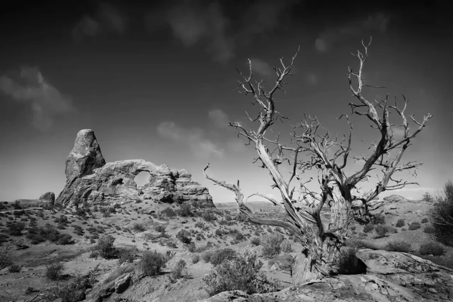 0046 paysage etats unis noir et blanc