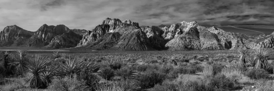 0061 paysage etats unis noir et blanc