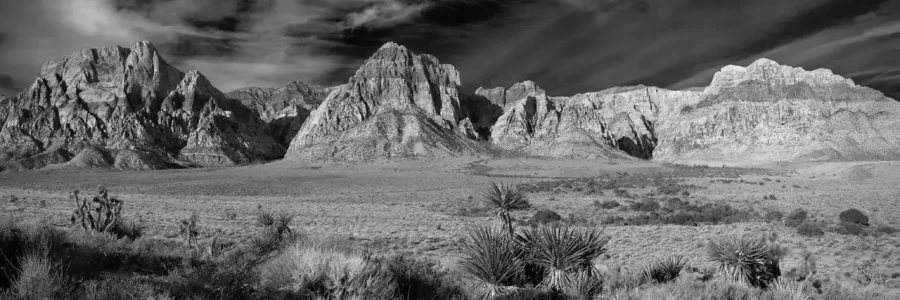 0062 paysage etats unis noir et blanc