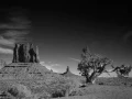 0067 paysage etats unis noir et blanc