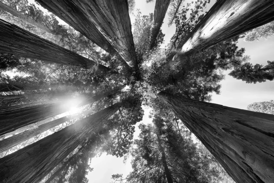 0070 paysage etats unis noir et blanc