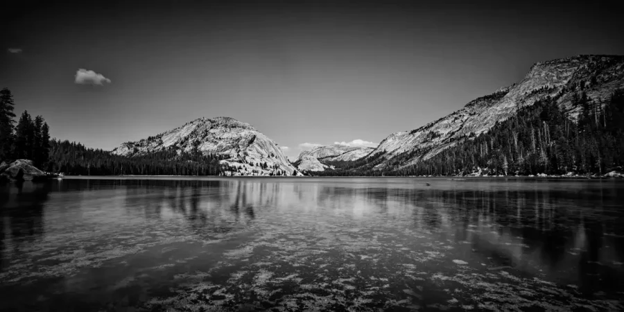 0079 paysage etats unis noir et blanc
