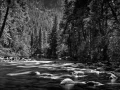 0080 paysage etats unis noir et blanc