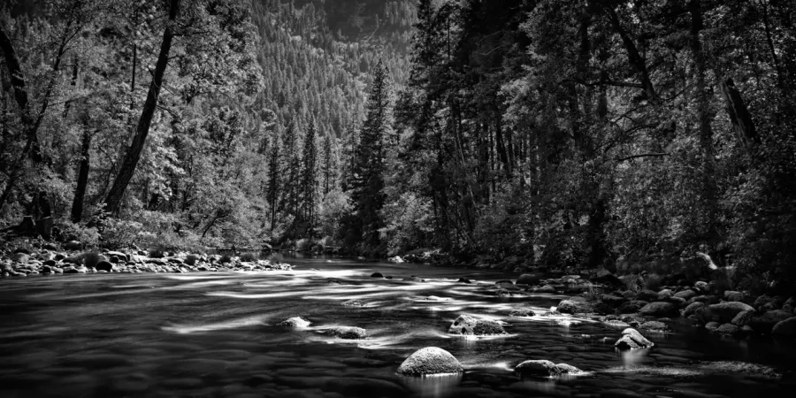 0080 paysage etats unis noir et blanc