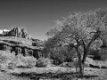 0083 paysage etats unis noir et blanc