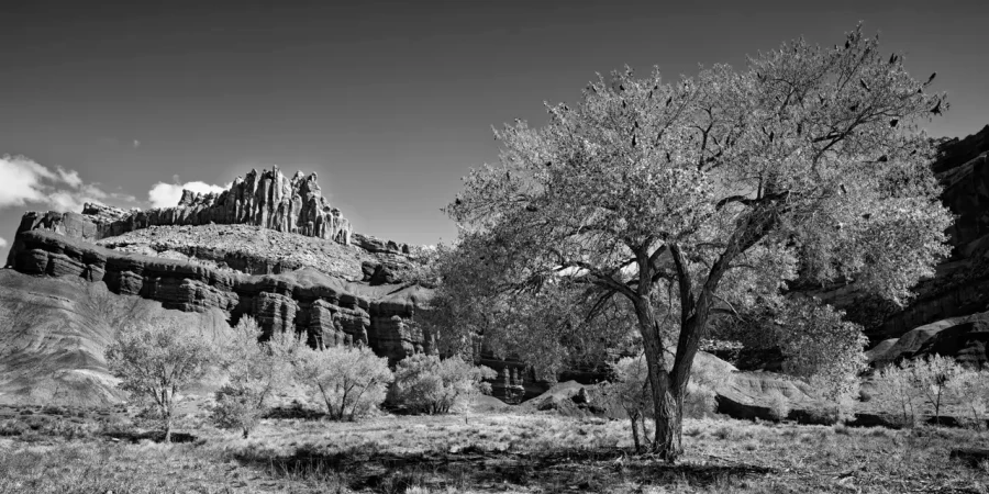 0083 paysage etats unis noir et blanc