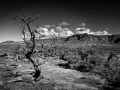 0085 paysage etats unis noir et blanc