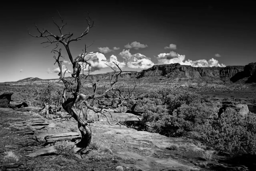 0085 paysage etats unis noir et blanc