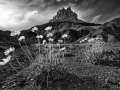 0090 paysage etats unis noir et blanc