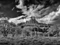 0092 paysage etats unis noir et blanc