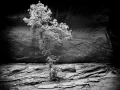 0093 paysage etats unis noir et blanc