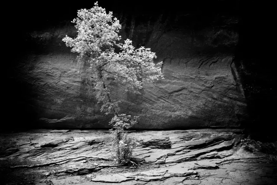 0093 paysage etats unis noir et blanc