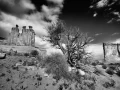 0097 paysage etats unis noir et blanc