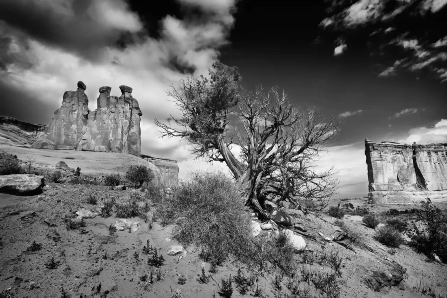 0097 paysage etats unis noir et blanc