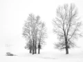 0104 paysage etats unis noir et blanc