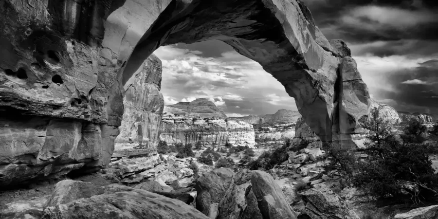 0109 paysage etats unis noir et blanc