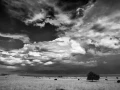 0110 paysage etats unis noir et blanc