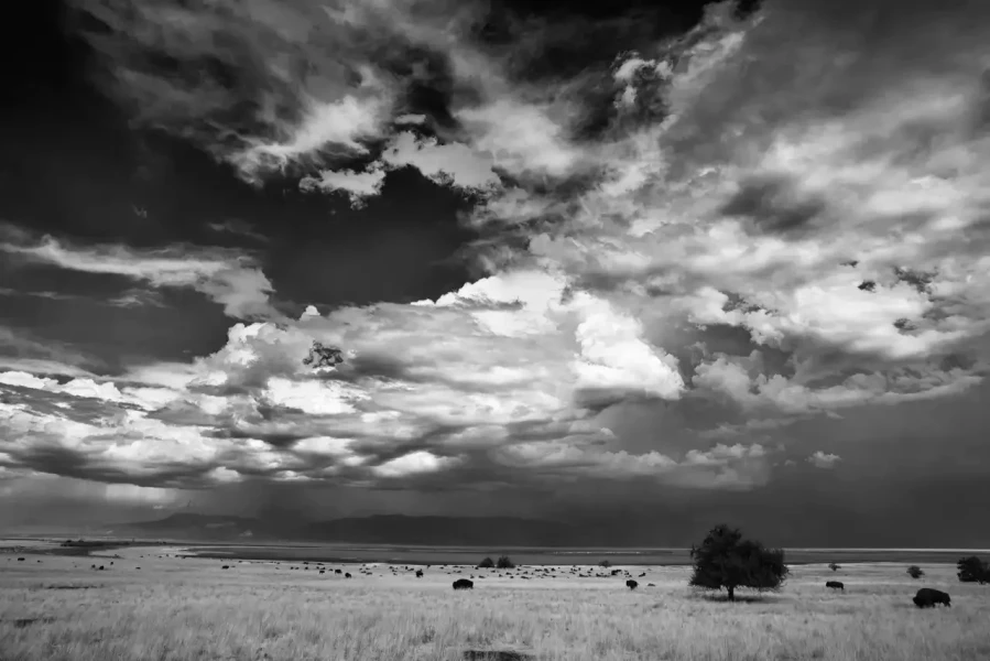0110 paysage etats unis noir et blanc