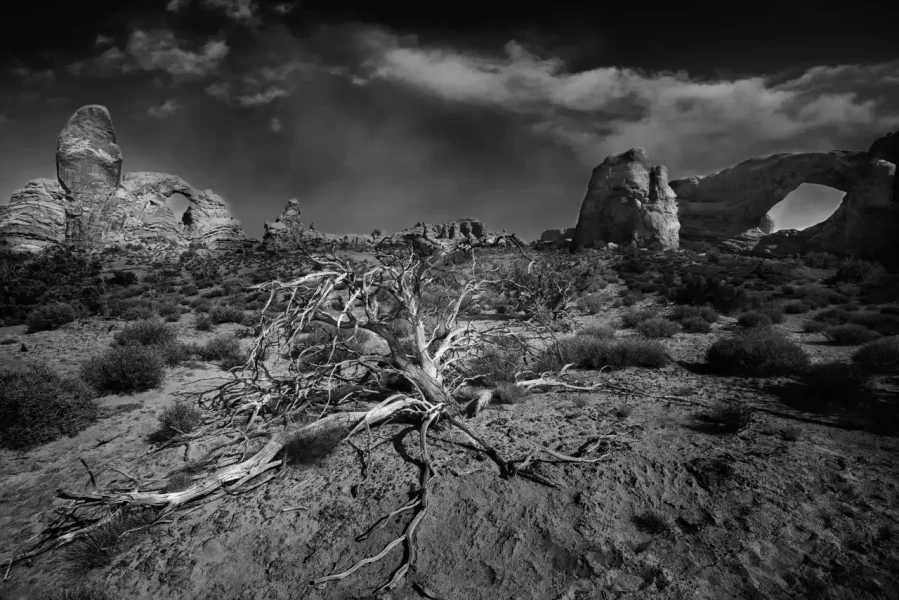 0118 paysage etats unis noir et blanc