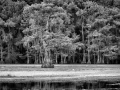 0131 paysage etats unis noir et blanc