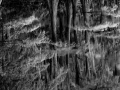 0134 paysage etats unis noir et blanc
