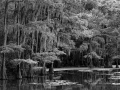 0136 paysage etats unis noir et blanc