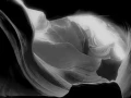 0142 paysage etats unis noir et blanc
