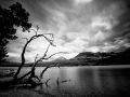 0150 paysage etats unis noir et blanc