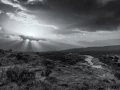 0157 paysage etats unis noir et blanc