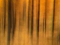 002 paysage en icm