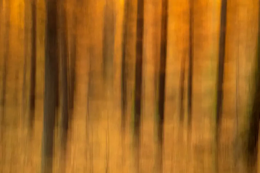 002 paysage en icm