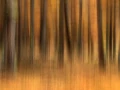 003 paysage en icm