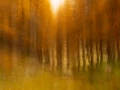 004 paysage en icm