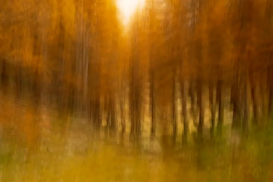 004 paysage en icm