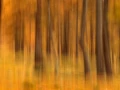 005 paysage en icm