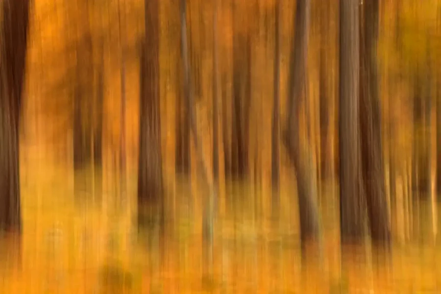 005 paysage en icm