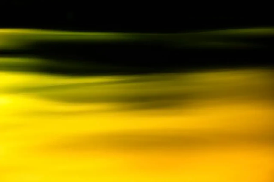 017 danse des lumieres oubliees