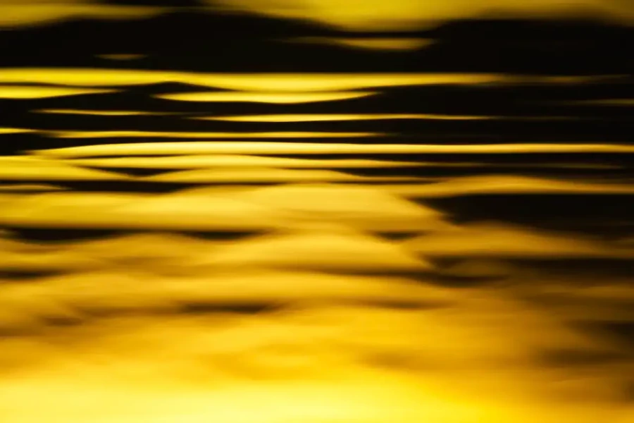 018 danse des lumieres oubliees