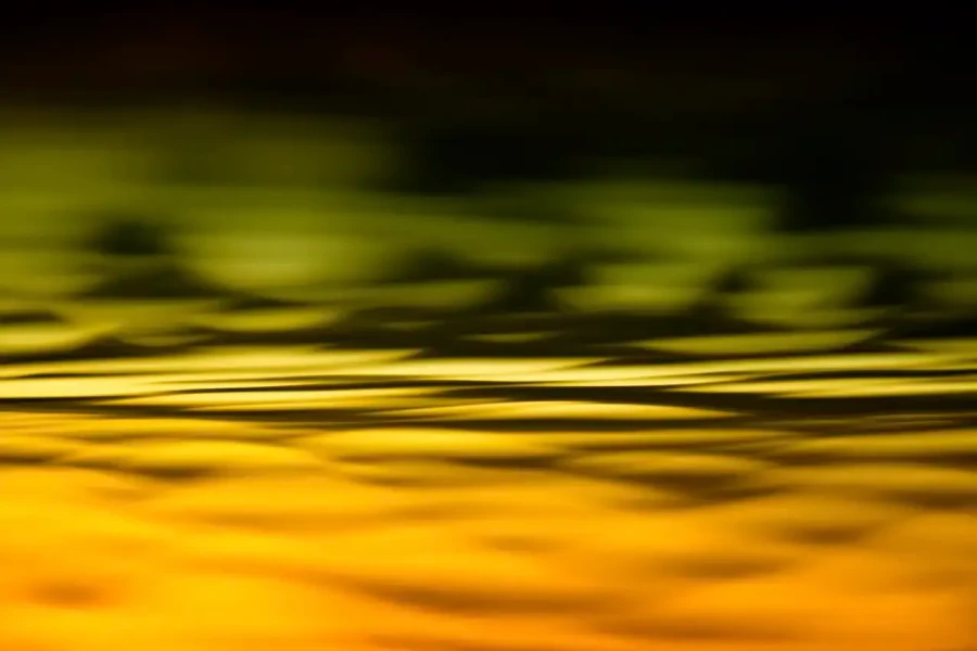 024 danse des lumieres oubliees