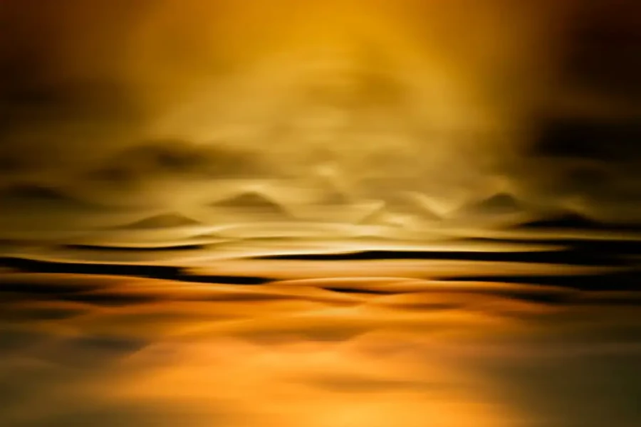 025 danse des lumieres oubliees