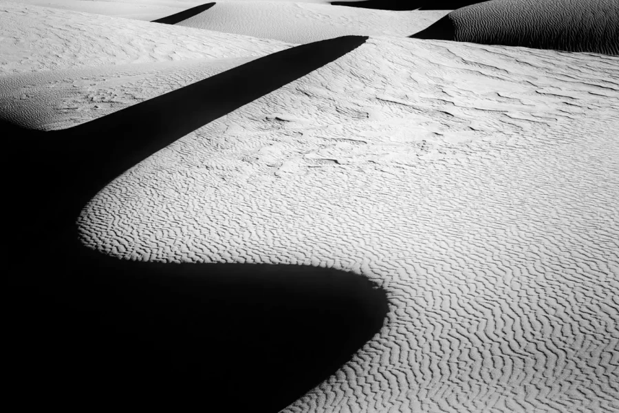 009 dunes de sable desert