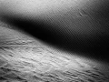 020 dunes de sable desert