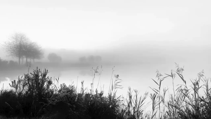 Paysage de la Haute-Saintonge en Charente-Maritime en France en noir et blanc