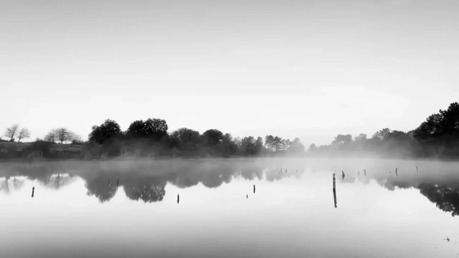 Paysage de la Haute-Saintonge en Charente-Maritime en France en noir et blanc