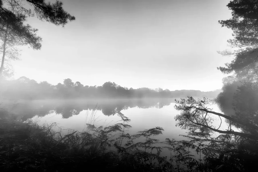 Paysage de la Haute-Saintonge en Charente-Maritime en France en noir et blanc