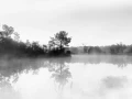 Paysage de la Haute-Saintonge en Charente-Maritime en France en noir et blanc