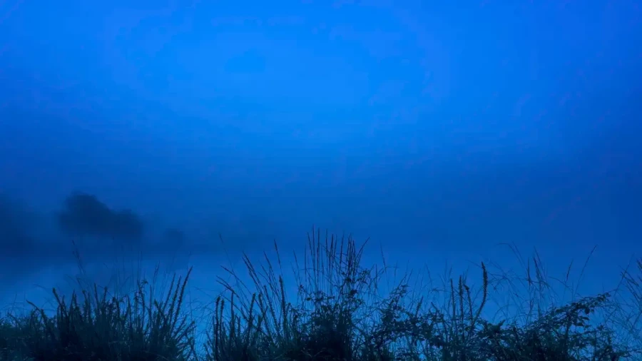 Paysage de la Haute-Saintonge en Charente-Maritime, France en couleur